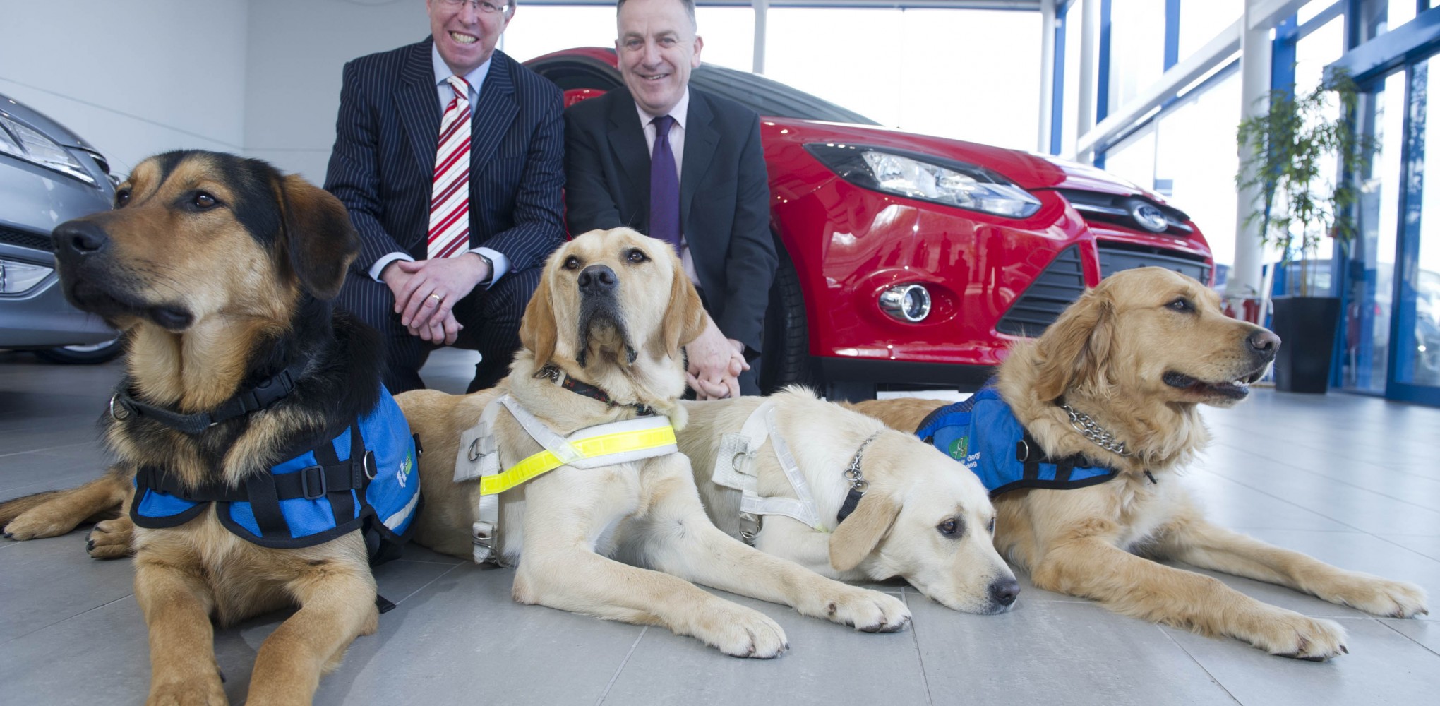 Ford Supports Irish Guide Dogs for the Blind