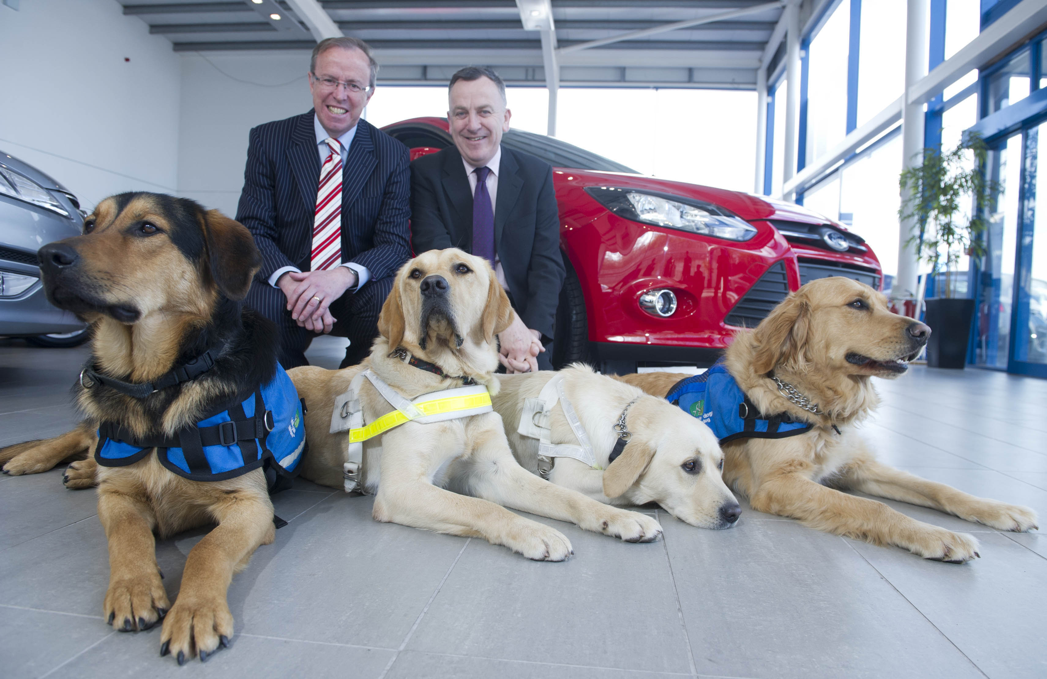 Ford Supports Irish Guide Dogs for the Blind