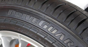 Bridgestone DriveGuard