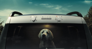 ŠKODA Urging Motorists To Think About Pets