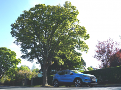 Nissan Qashqai Undisputed Leader For 181 Sales