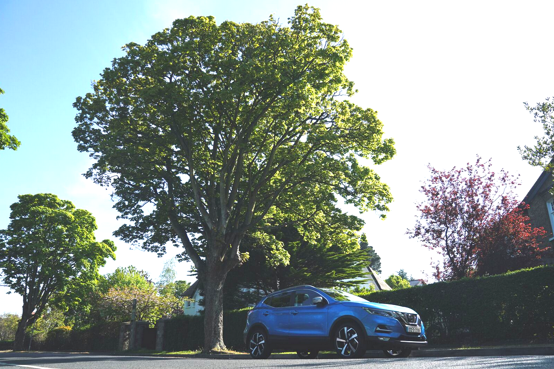 Nissan Qashqai Undisputed Leader For 181 Sales