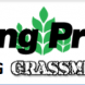 FP BANNER AD