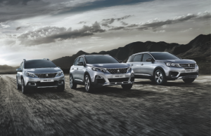 Highest Market Share For Peugeot In Over A Decade!