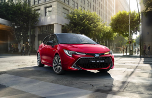 Car Registrations For November Up 19.2%