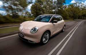 Safety First For ORA Funky Cat