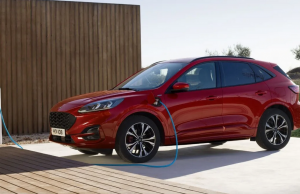 Survey Reveals Hybrid Popularity