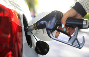 Relatively Steady Fuel Prices