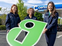 Coveted Guaranteed Irish Symbol For Certain