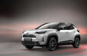 June Car Sales Figures Released