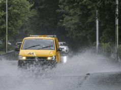 AA Motorist Survey Reveals Gaps in Road Safety Practices