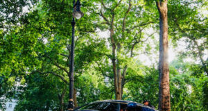 Official Route for Cannonball Ireland 2025