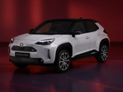 124,954 New Car Registrations in 2025