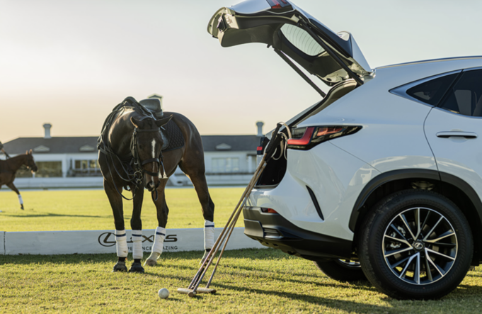 Discovering the Thrill of Polo in Dublin with Lexus